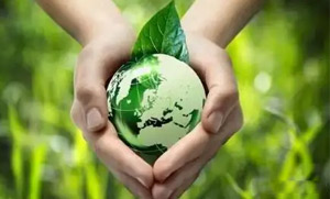 安博线上平台零碳（近零碳）发展战略和实施方案